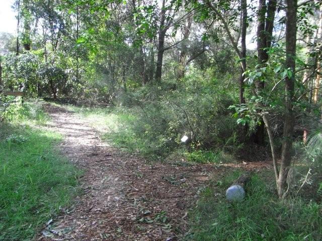 Acacia Grove junction with Waratah Walk