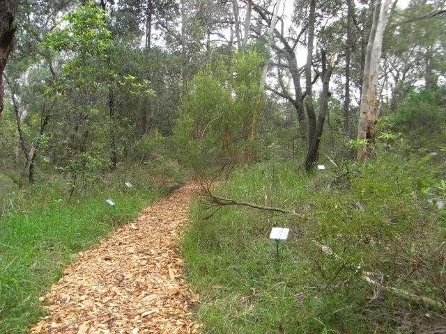 End of banksia Trail