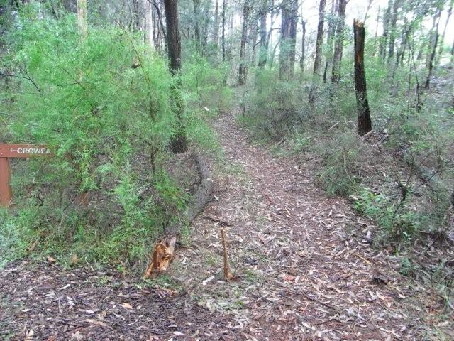 Dry Ridge Trail