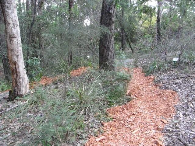 Dry Ridge Trail