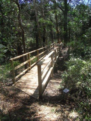 Mintbush trail