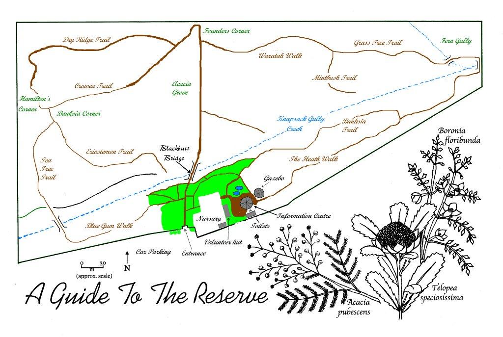 Map of Glenbrook Native Plant Reserve